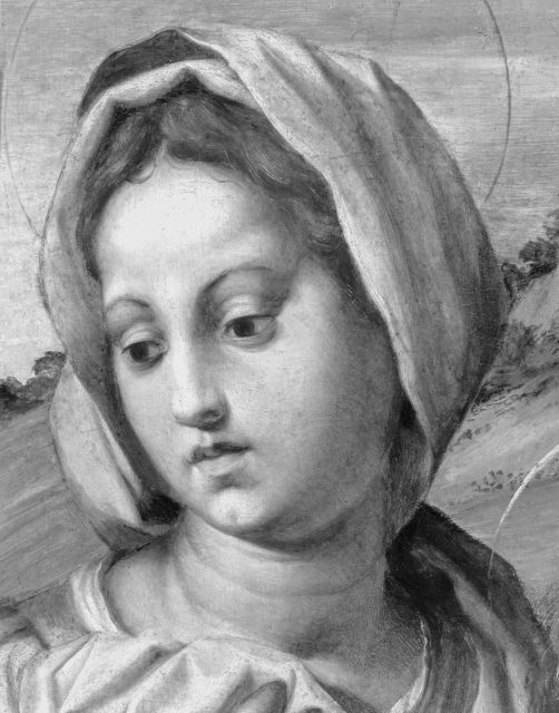 Hollow, Matthew — Andrea d'Agnolo - sec. XVI - Madonna con Bambino e san Giovannino — particolare, volto di Maria